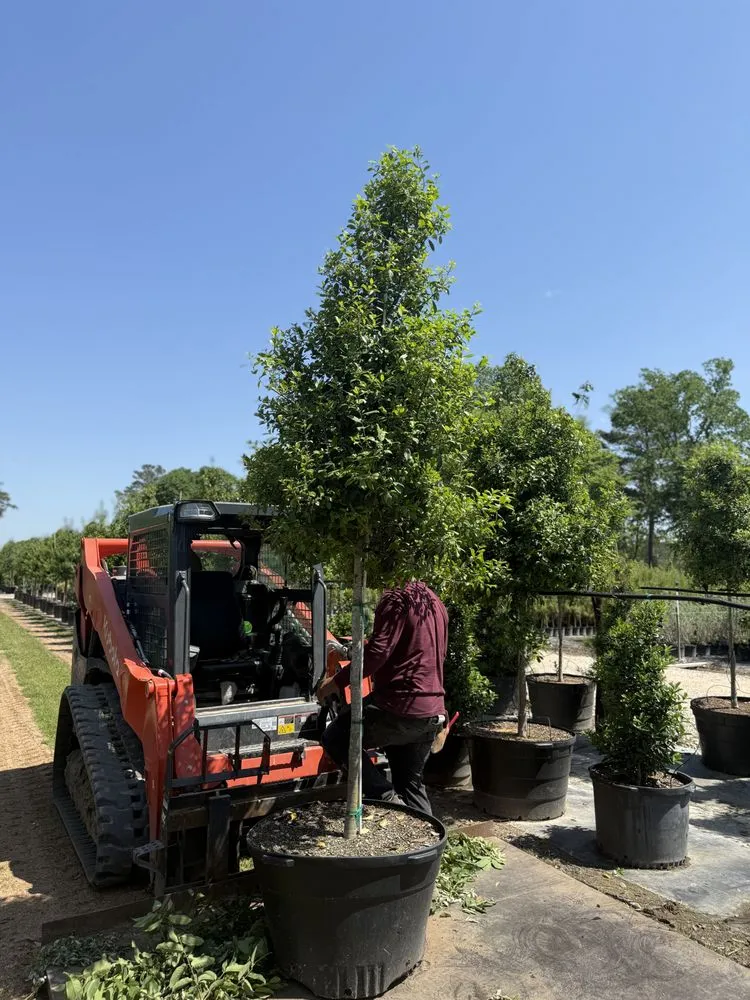 Top-rated outdoor landscaping in Houston, TX by Elite Tree Specialist