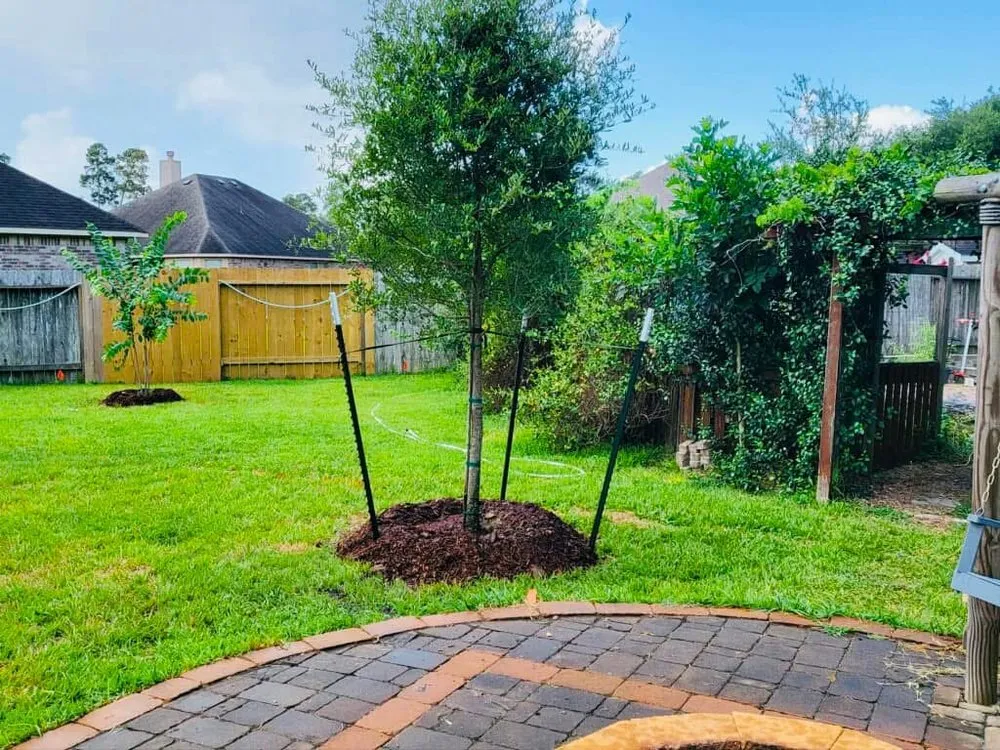 Expert lawn care service experts serving Houston, TX - Elite Tree Specialist