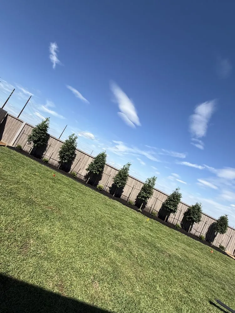 Trusted yard maintenance in Houston, TX - Elite Tree Specialist