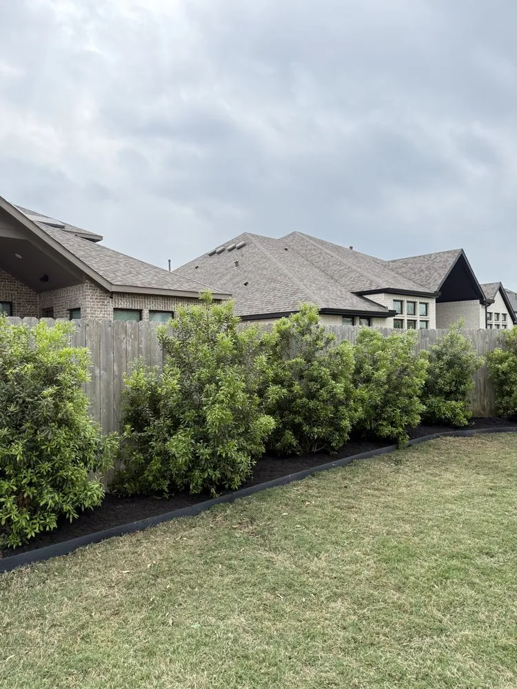 Top-rated lawn mowing service with custom design in Houston, TX by Elite Tree Specialist