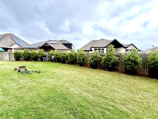 Elite Tree Specialist Logo