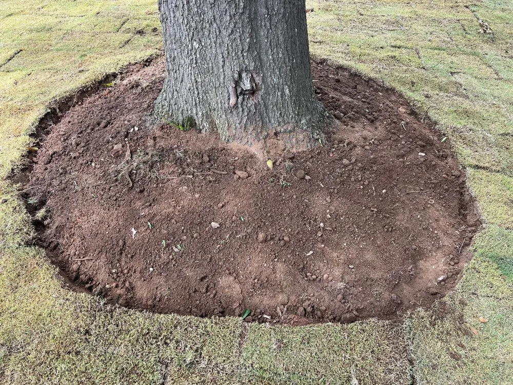 Local lawn care service for outdoor upgrades across Woodruff, SC - Elite Turf & Landscape