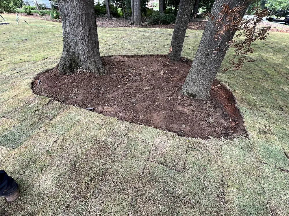 Local landscape design for beautiful yards across Woodruff, SC - Elite Turf & Landscape