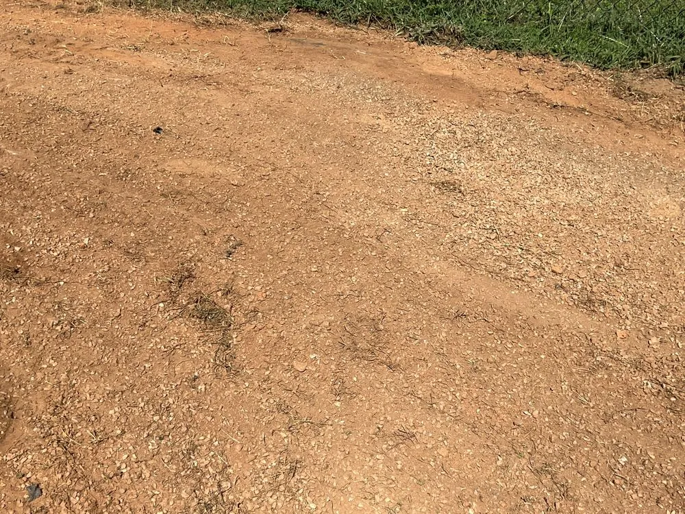 Top-rated yard maintenance in Woodruff, SC by Elite Turf & Landscape