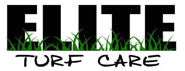 Custom yard cleanup service for residential properties across Sterling, MA - Elite Turf Care