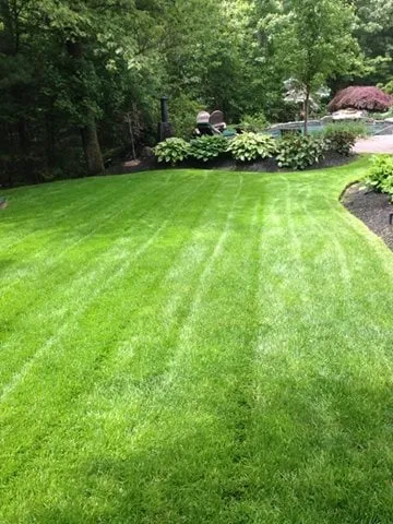 Trusted yard maintenance in Sterling, MA - Elite Turf Care