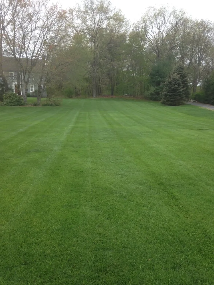 Reliable yard cleanup service for year-round maintenance in Sterling, MA by Elite Turf Care