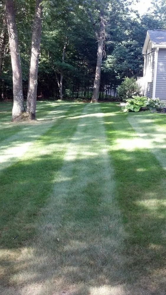 Professional yard cleanup service experts serving Sterling, MA - Elite Turf Care