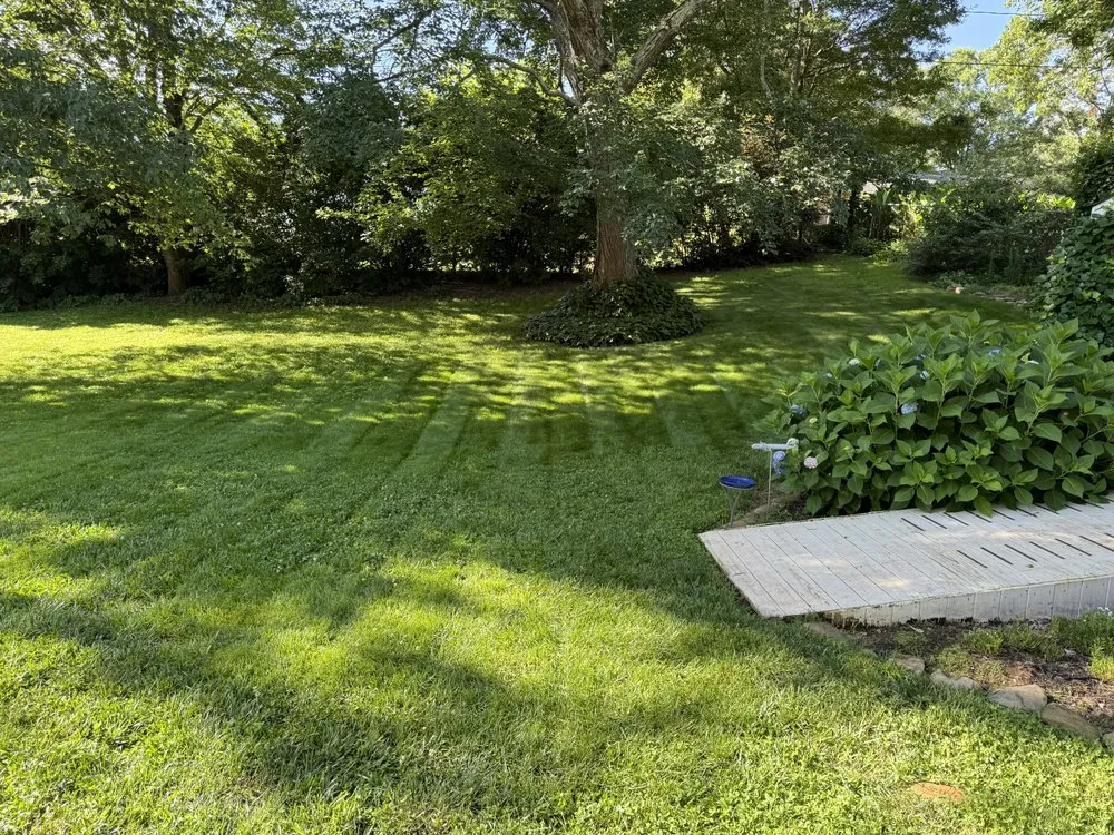 Expert garden landscaping for beautiful yards across Inman, SC - Elite Veteran Landscapes