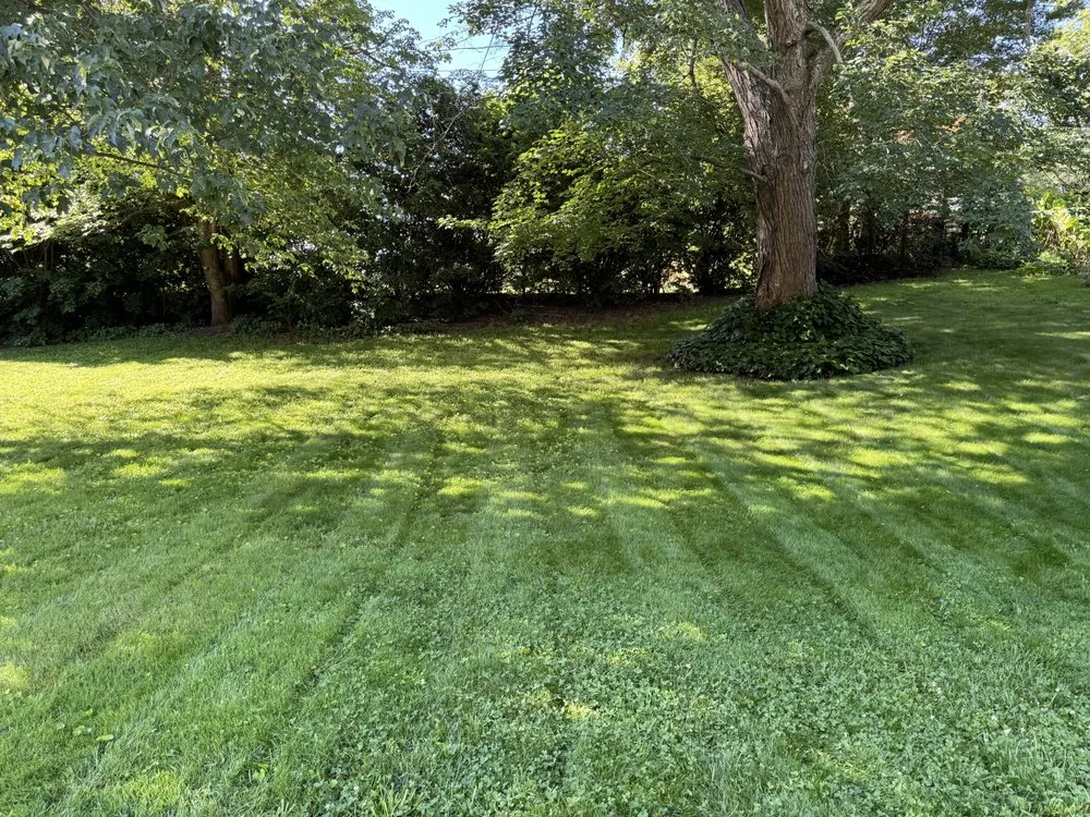 Professional outdoor landscaping experts serving Inman, SC - Elite Veteran Landscapes