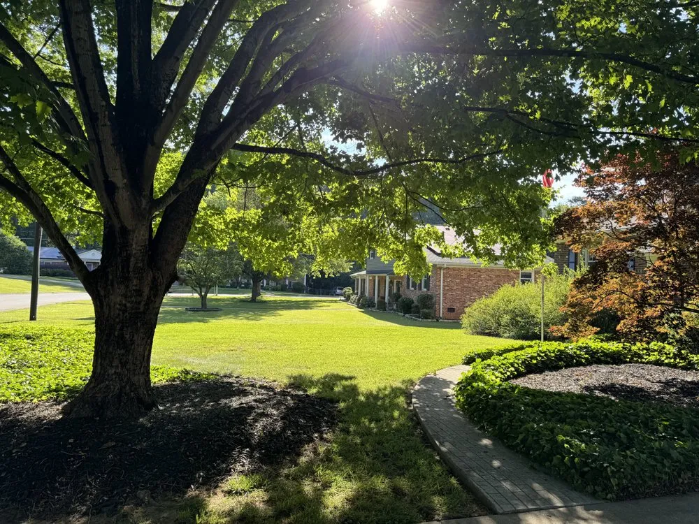 Reliable yard cleanup service for outdoor upgrades across Inman, SC - Elite Veteran Landscapes