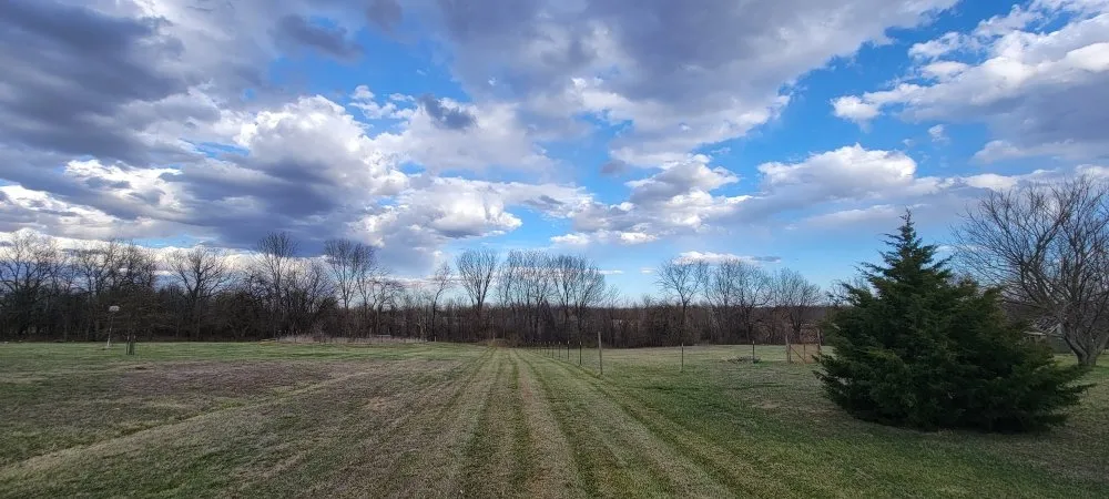 Local landscape design in Centerview, MO - Elite Visions Landscaping