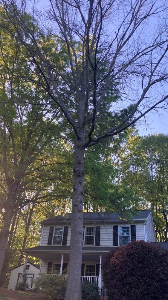 Trusted lawn mowing service in Monroe, NC - Elite Weed Control