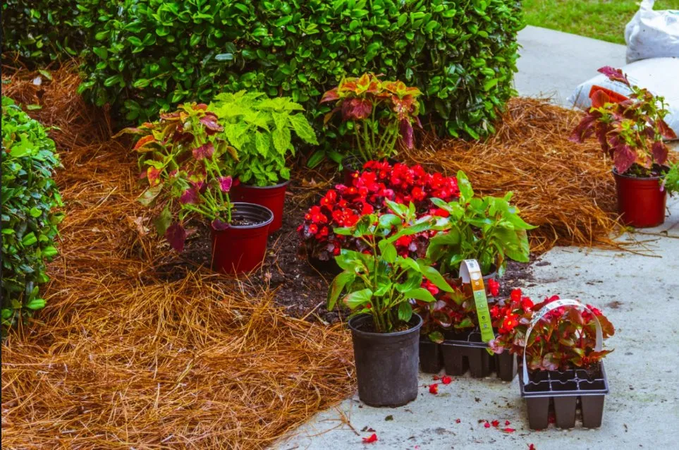 Professional residential landscaping in Monroe, NC - Elite Weed Control