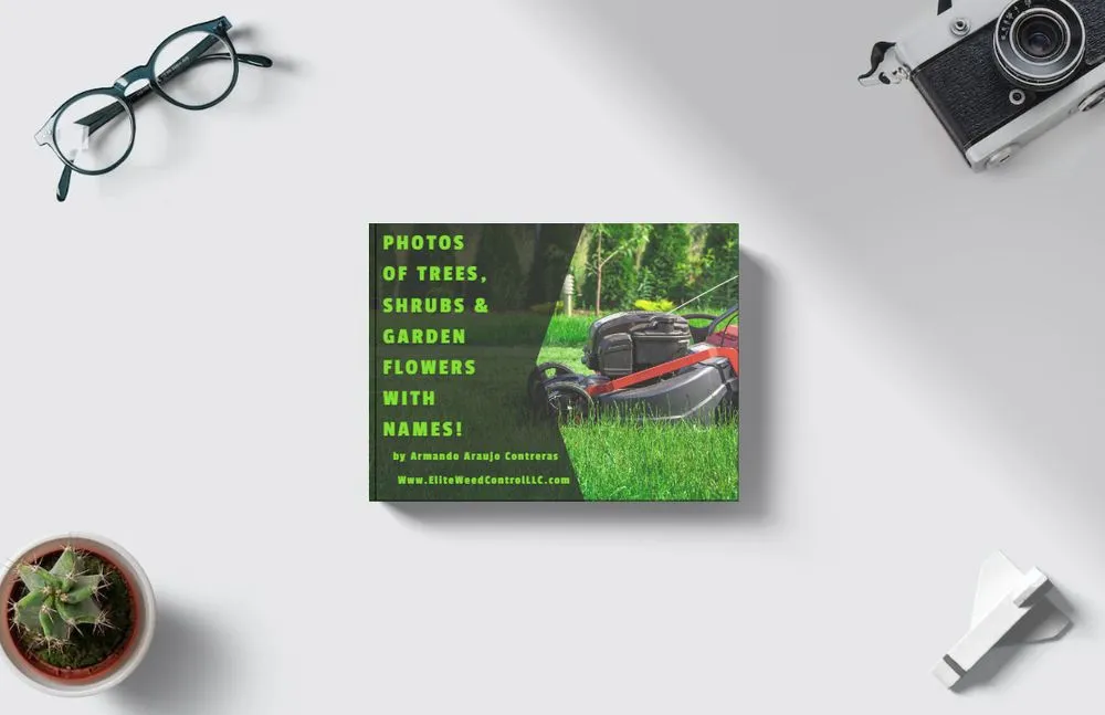 Trusted lawn care service for residential properties in Monroe, NC by Elite Weed Control