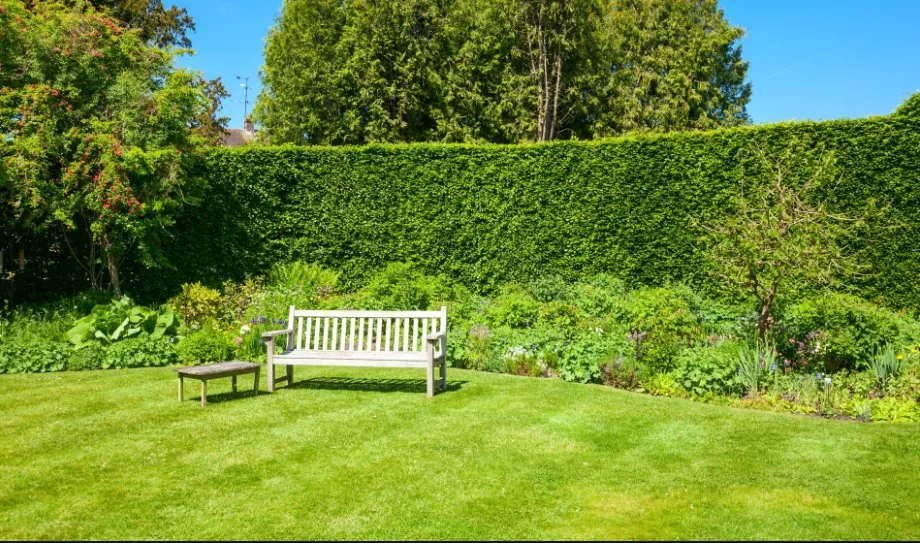 Top-rated outdoor landscaping with custom design across Monroe, NC - Elite Weed Control