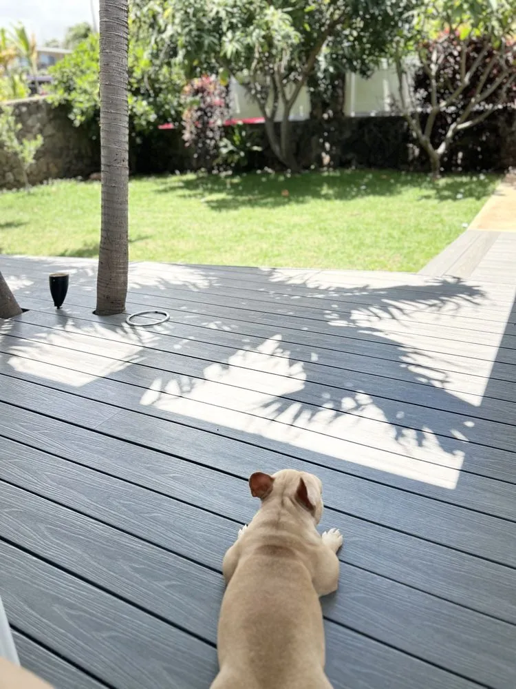 Reliable yard cleanup service in Kapolei, HI by ELITE YARD SERVICES