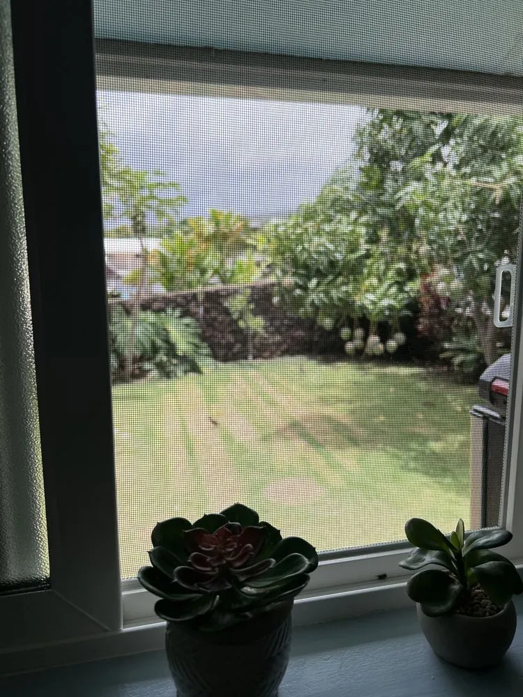 Affordable landscape design experts serving Kapolei, HI - ELITE YARD SERVICES