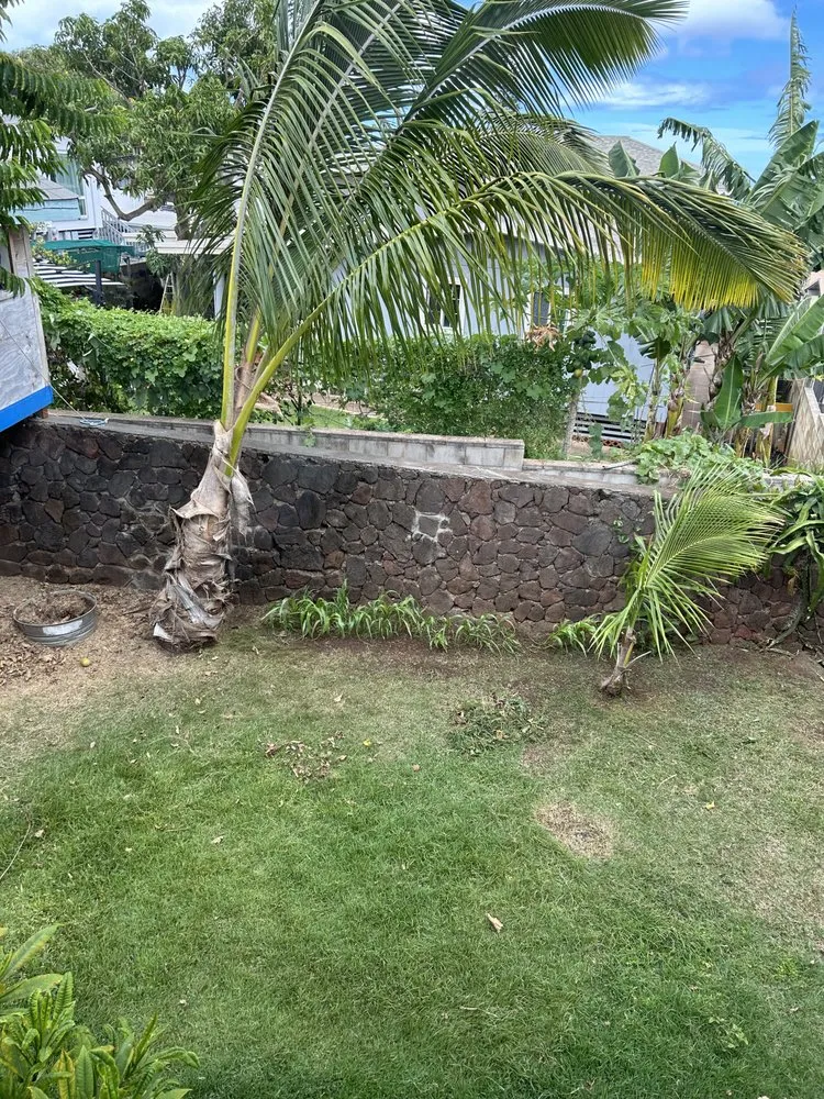 Professional yard cleanup service for outdoor upgrades in Kapolei, HI by ELITE YARD SERVICES