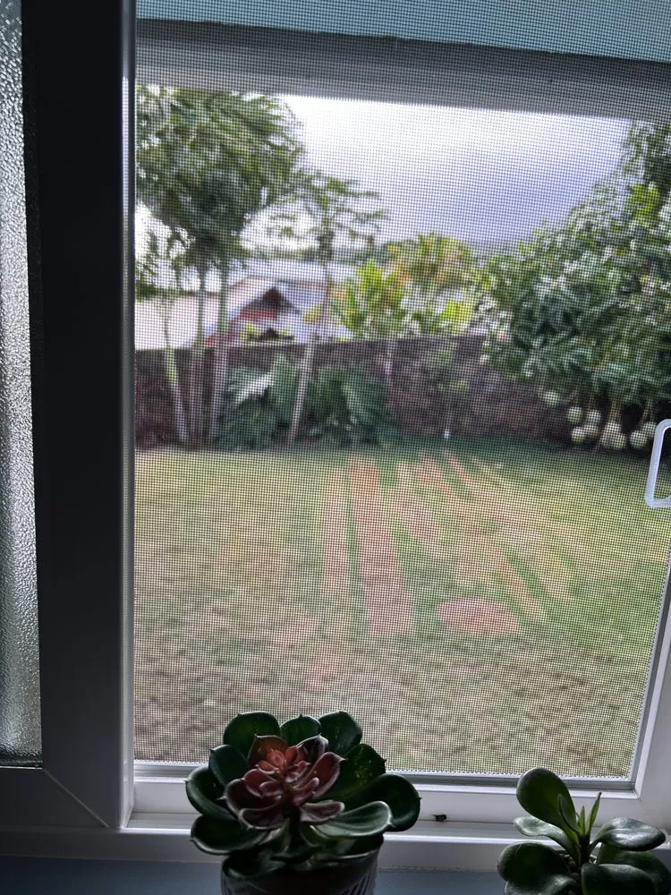 Reliable lawn care service for year-round maintenance across Kapolei, HI - ELITE YARD SERVICES