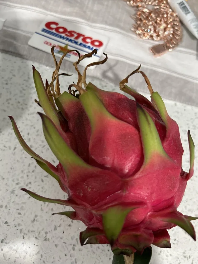 Trusted lawn care service in Kapolei, HI - ELITE YARD SERVICES