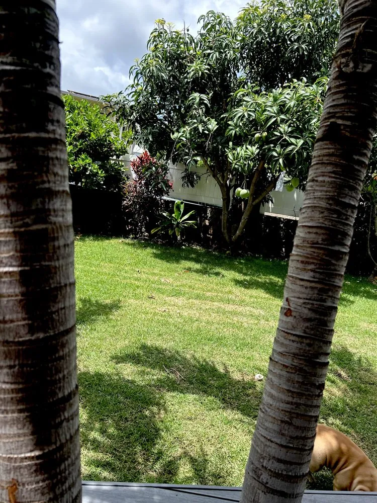 Trusted landscaping services in Kapolei, HI - ELITE YARD SERVICES