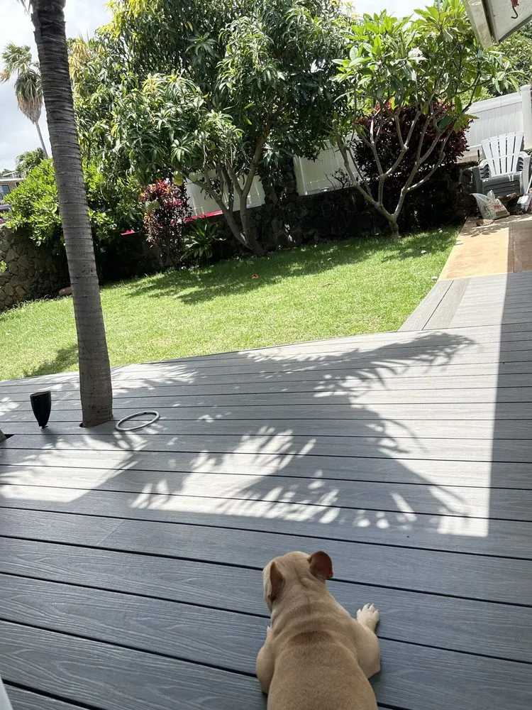 Professional landscape design for year-round maintenance in Kapolei, HI by ELITE YARD SERVICES