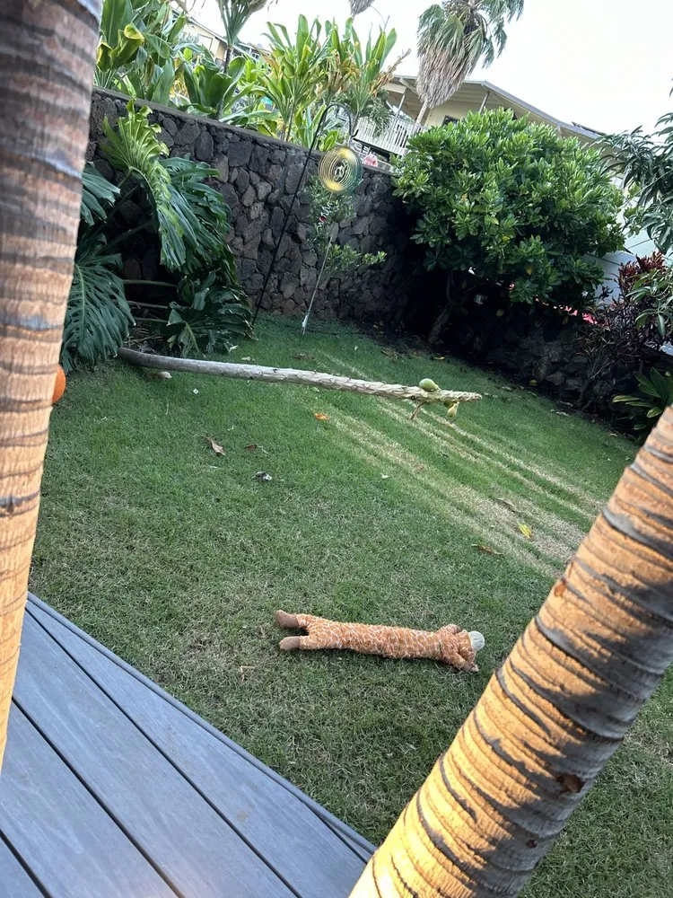 Reliable landscaping services near you across Kapolei, HI - ELITE YARD SERVICES