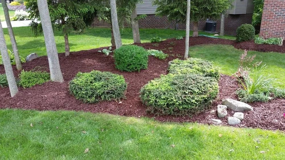 Local landscaping services for year-round maintenance across Saline, MI - Elite Yard Services