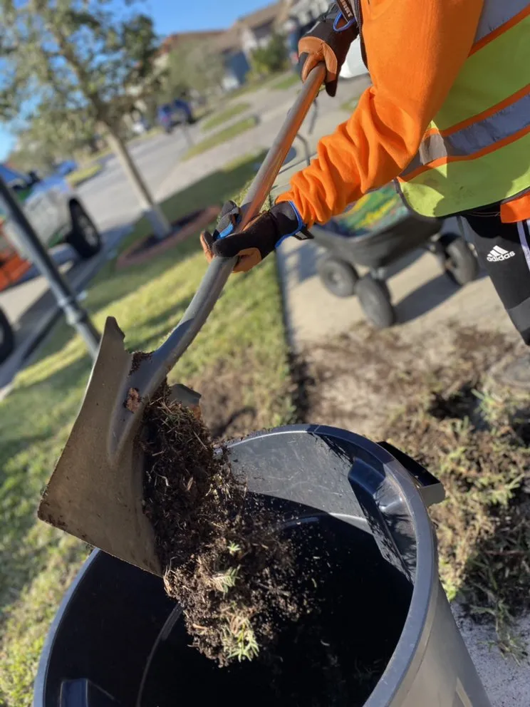 Trusted outdoor landscaping experts serving Tampa, FL - Elite Yard Services