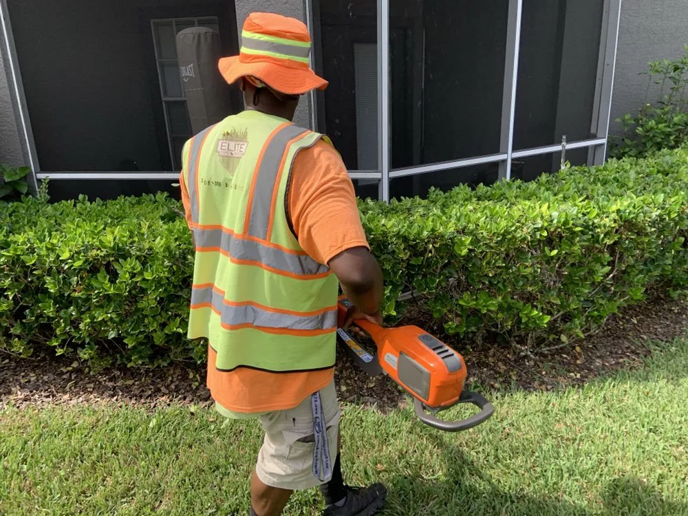 Reliable garden landscaping in Tampa, FL - Elite Yard Services