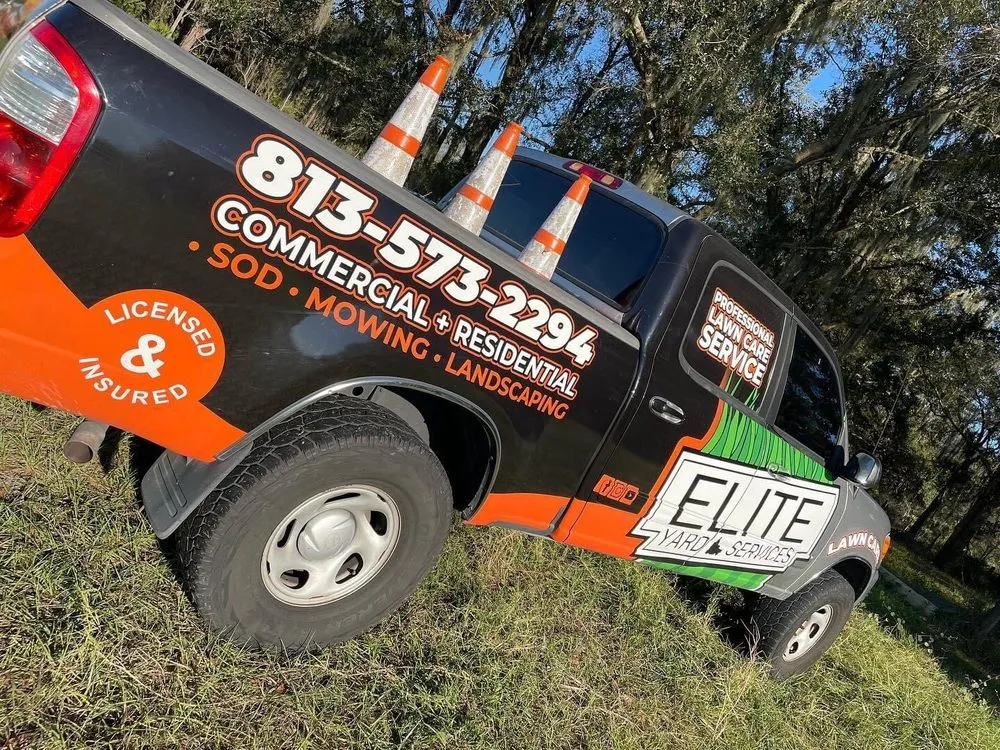 Professional garden landscaping in Tampa, FL by Elite Yard Services