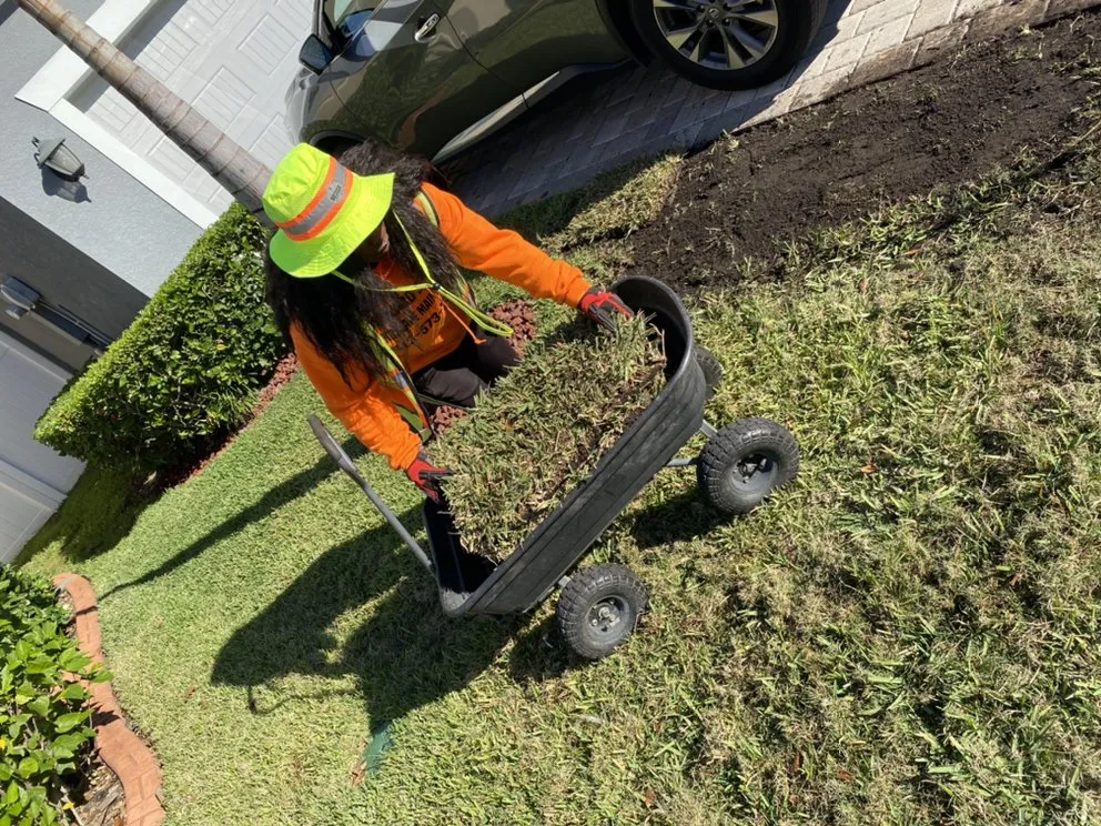 Top-rated outdoor landscaping for year-round maintenance in Tampa, FL by Elite Yard Services