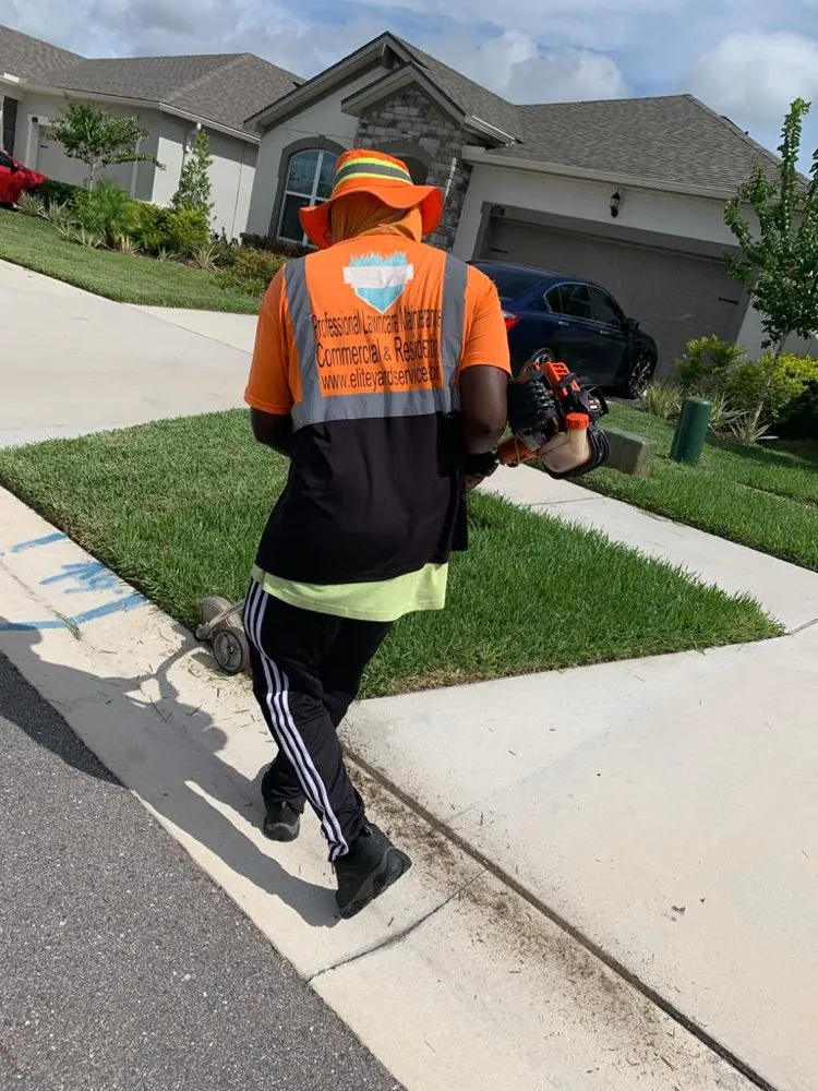Reliable lawn mowing service in Tampa, FL by Elite Yard Services