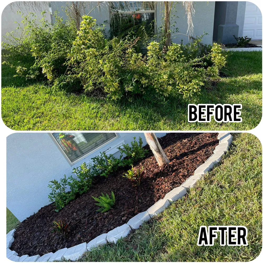 Custom residential landscaping in Tampa, FL - Elite Yard Services