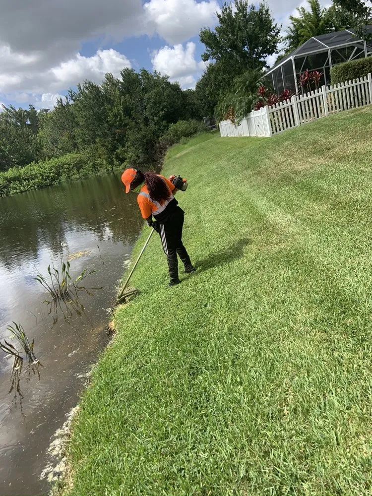 Top-rated landscape installation in Tampa, FL - Elite Yard Services