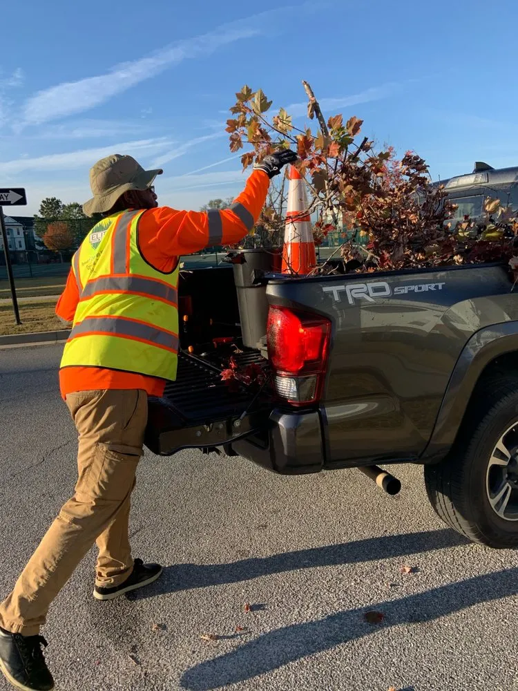 Local yard maintenance in Tampa, FL - Elite Yard Services