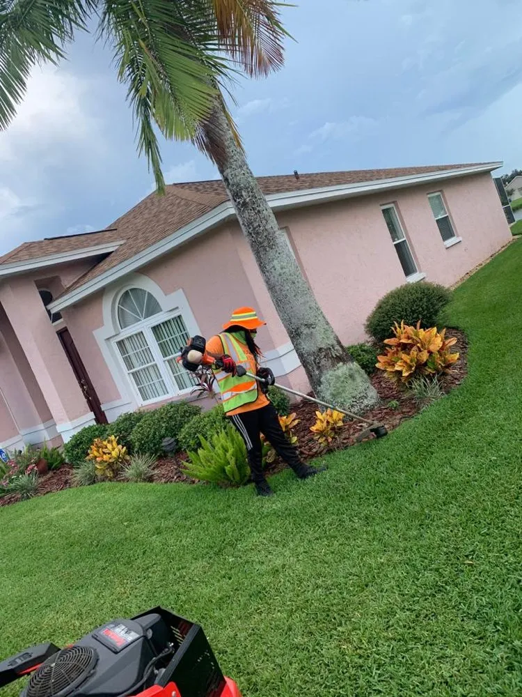 Professional landscape design in Tampa, FL by Elite Yard Services