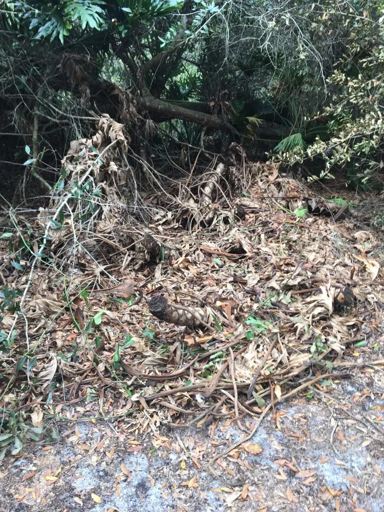 Local garden landscaping experts serving Tampa, FL - Elite Yard Services