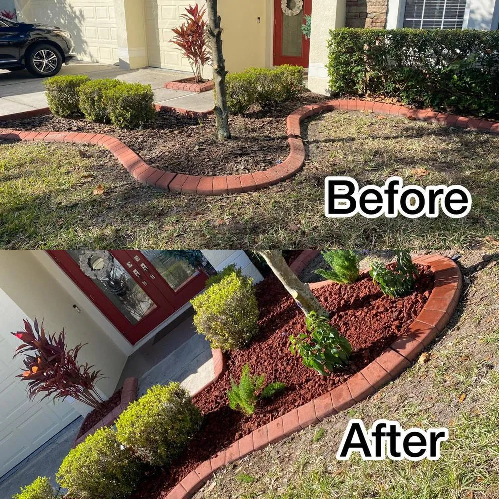 Reliable landscaping services experts serving Tampa, FL - Elite Yard Services
