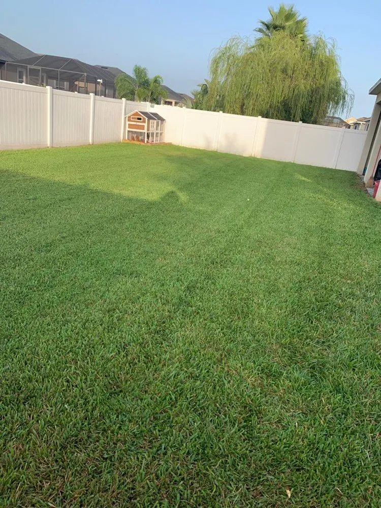 Reliable yard maintenance for homes across Tampa, FL - Elite Yard Services