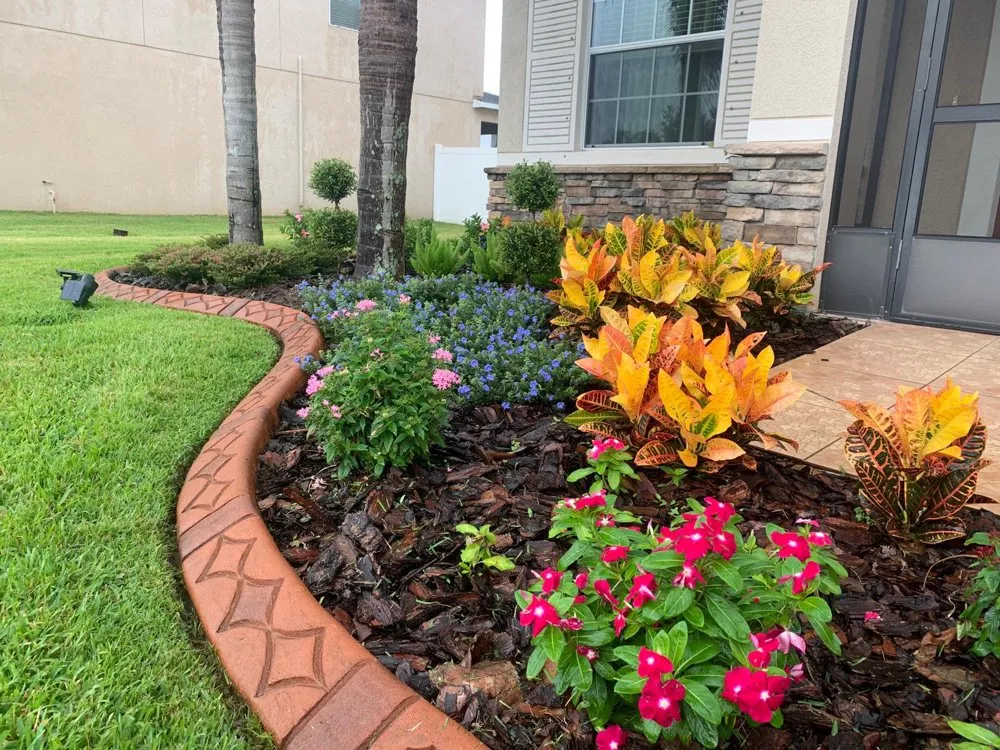 Reliable landscape installation in Tampa, FL - Elite Yard Services