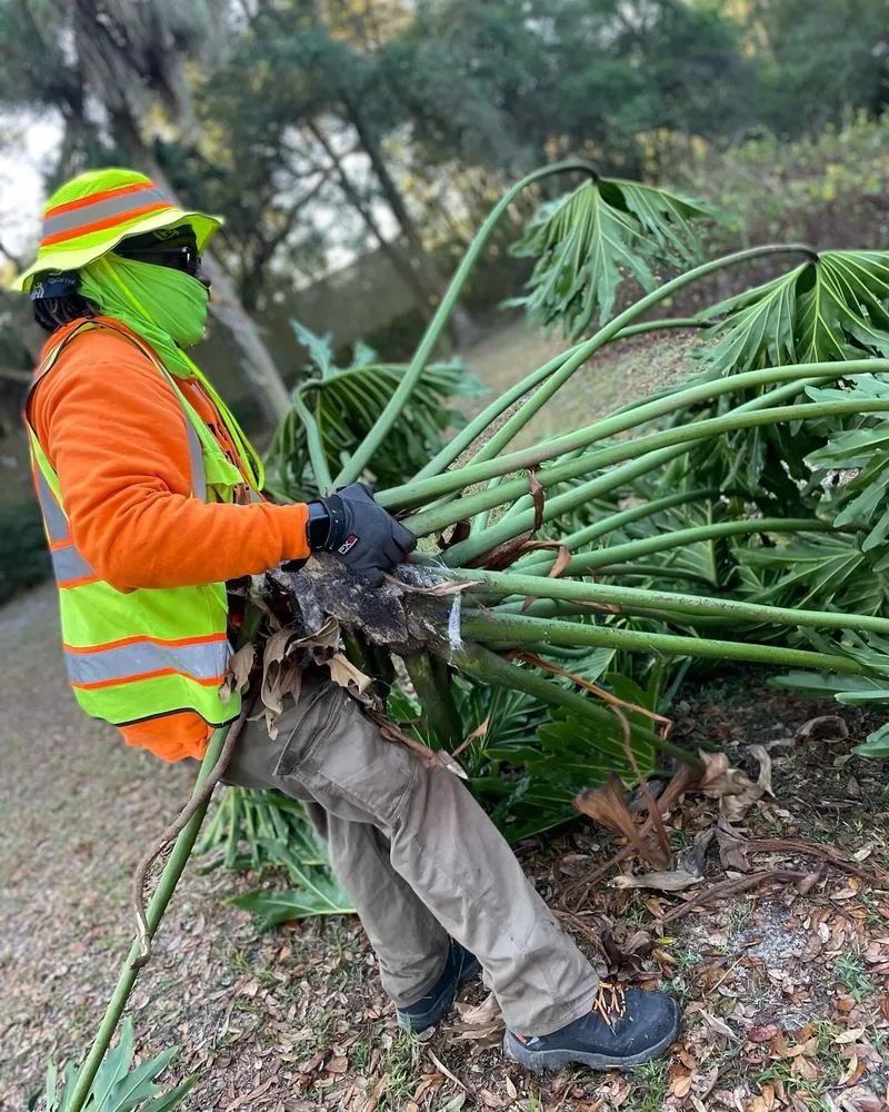Top-rated landscaping services in Tampa, FL - Elite Yard Services