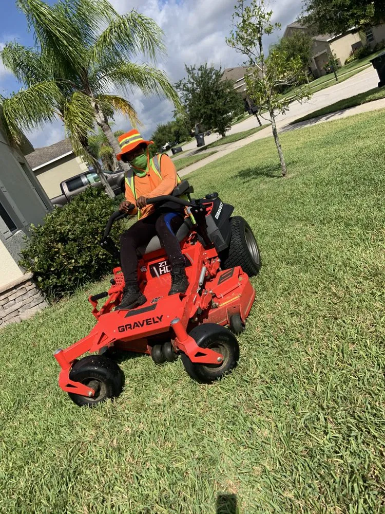 Affordable yard cleanup service in Tampa, FL by Elite Yard Services
