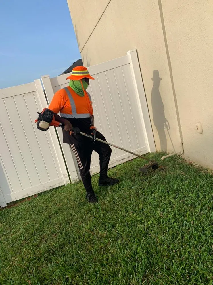 Trusted residential landscaping in Tampa, FL - Elite Yard Services