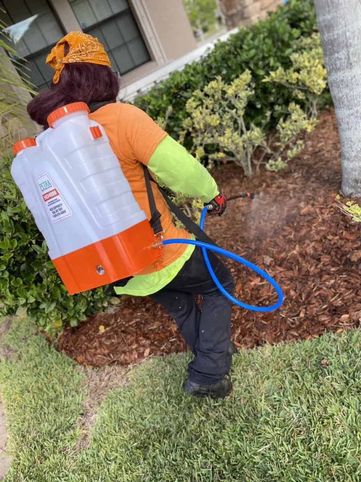 Professional landscaping services experts serving Tampa, FL - Elite Yard Services