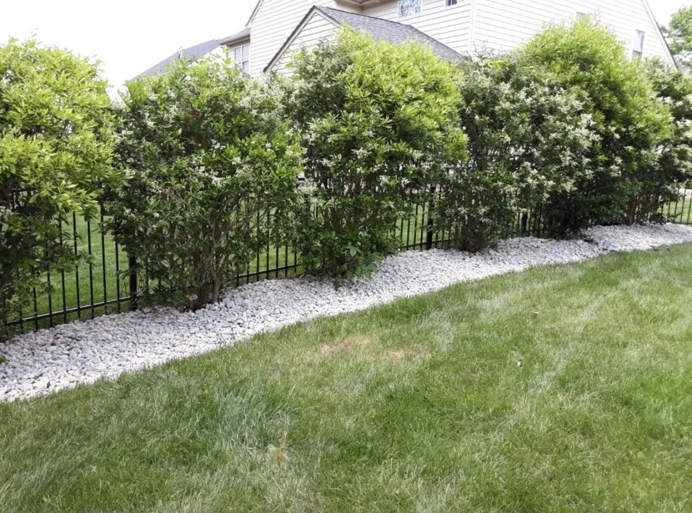 Top-rated outdoor landscaping with custom design across Orlando, FL - Elite Zen Outdoor Services