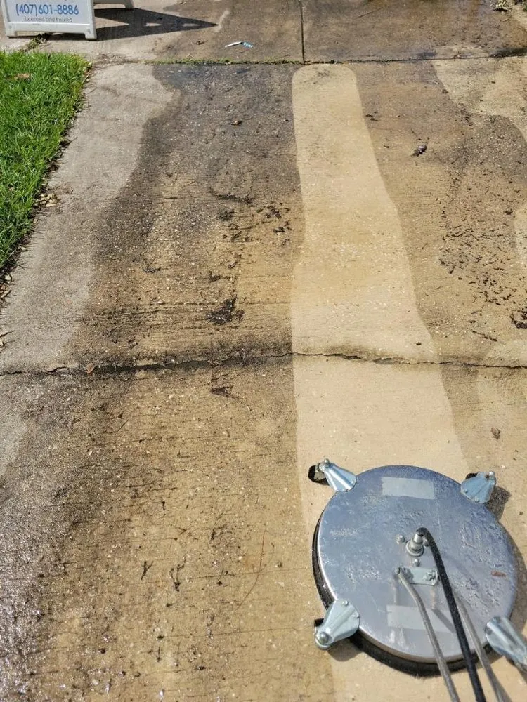 Local landscaping services for beautiful yards across Orlando, FL - Elite Zen Outdoor Services