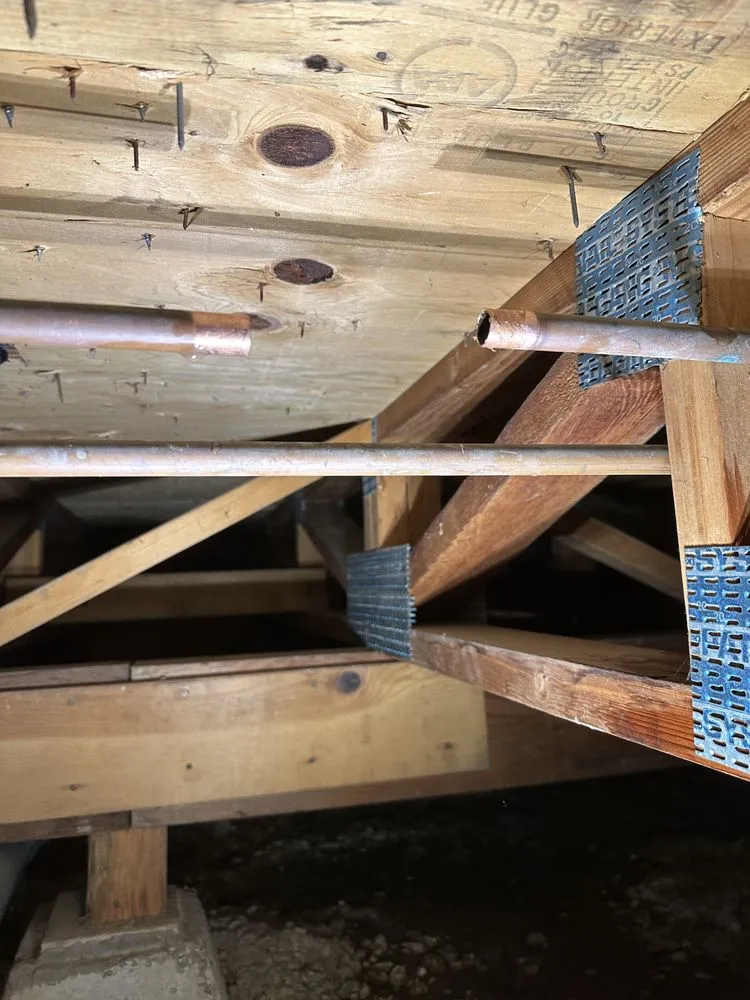 Trusted landscape installation for year-round maintenance across Campbell, CA - EliteCraftWork