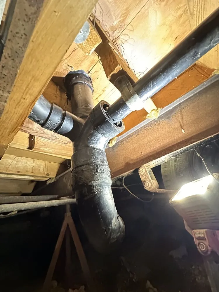 Professional landscaping services for year-round maintenance in Campbell, CA by EliteCraftWork